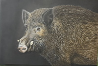 Wildschwein