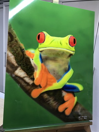 Frosch