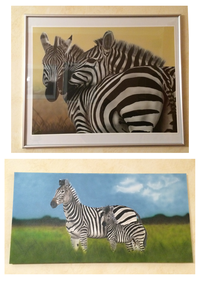 zebra