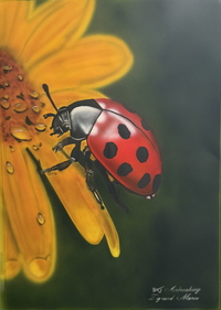 Maikäfer