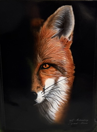 Fuchs