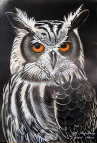 Eule